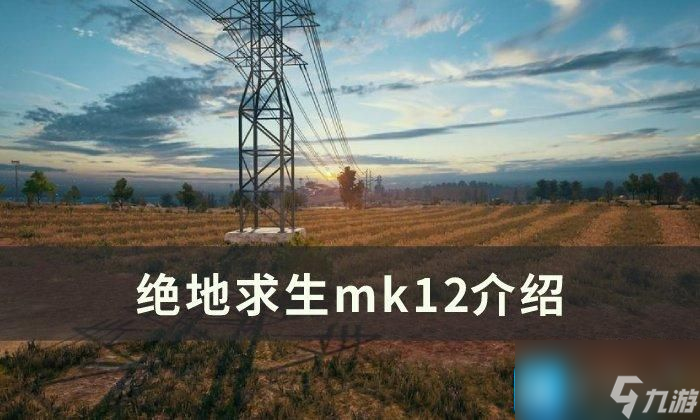 絕地求生mk12怎么樣