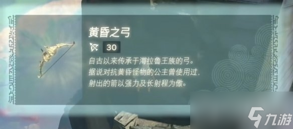 《塞尔达传说王国之泪》城堡装备获得攻略