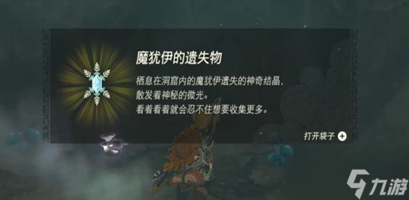 白鸟所指引的神庙在哪里-塞尔达传说王国之泪白鸟所指引的洞窟神庙攻略