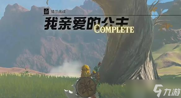 塞爾達(dá)傳說我親愛的公主任務(wù)攻略