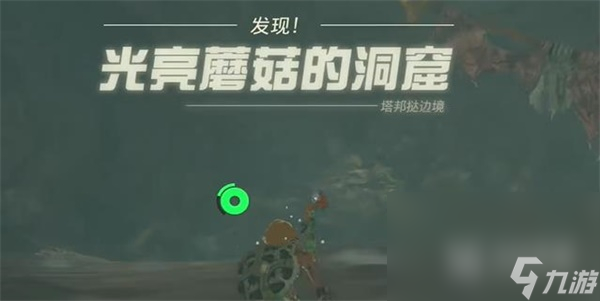塞尔达传说王国之泪光亮蘑菇位置介绍