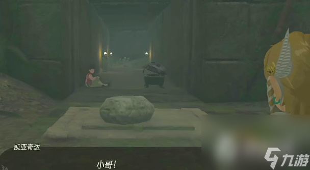 《塞尔达传说王国之泪》泡泡拉高地鸟望台开启方法