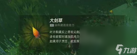 塞尔达传说王国之泪大剑草在哪刷 塞尔达大剑草收集攻略