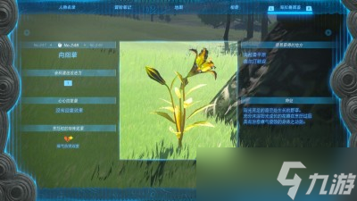 《塞尔达传说王国之泪》向阳草位置分享