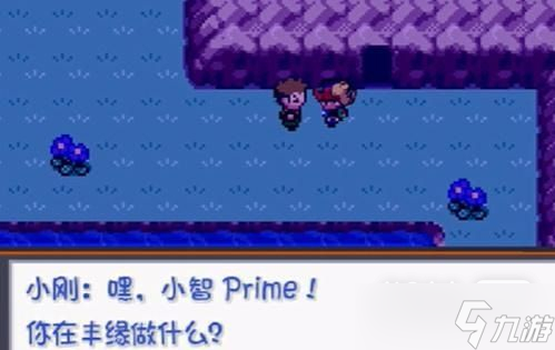 《口袋妖怪燃之智》106号水路走法攻略分享