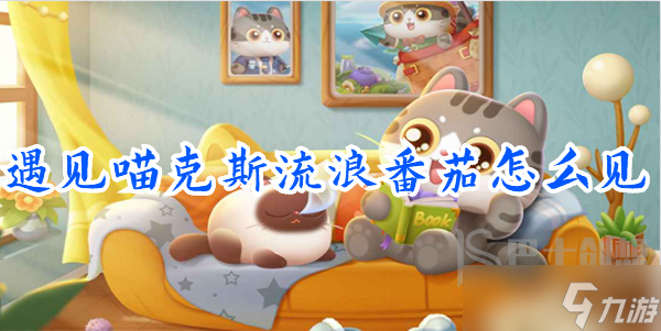 遇见喵克斯流浪番茄在哪里 遇见喵克斯流浪番茄获得方法