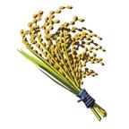 王国之泪野菜饭团配方介绍