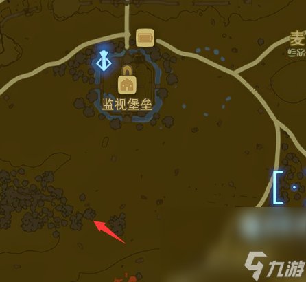 塞尔达传说王国之泪柯尔天位置介绍