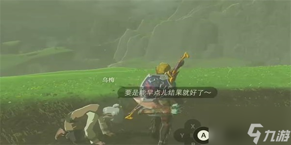 塞爾達(dá)傳說(shuō)在烏梅的田里種什么迷你挑戰(zhàn)攻略 在烏梅的田里種什么怎么過(guò)