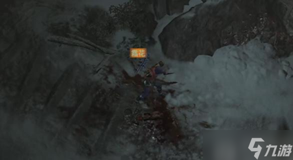 暗黑破坏神4霜花任务怎么做