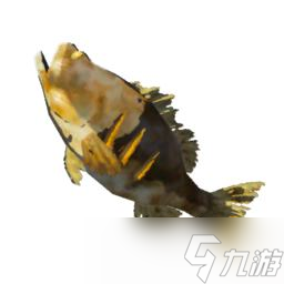 王國(guó)之淚烤鱸魚(yú)配方介紹