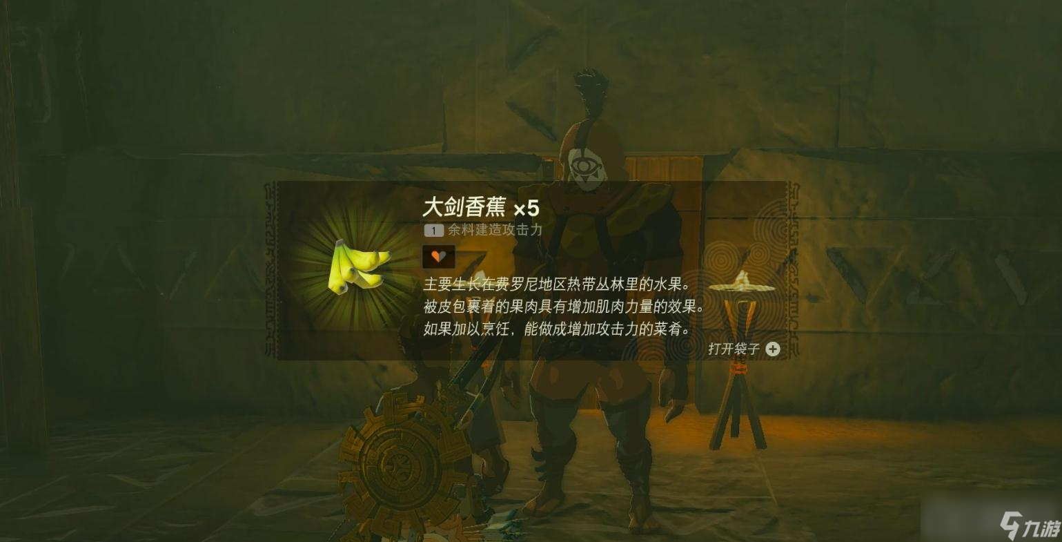 《塞尔达传说：王国之泪》伊盖队干部考核任务攻略