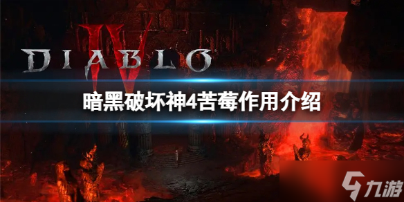 《暗黑破坏神4》苦莓在哪？苦莓作用介绍