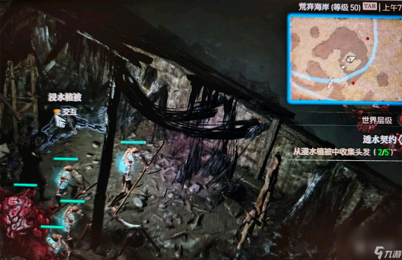 《暗黑破坏神4》透水契约支线任务浸水的植被位置一览