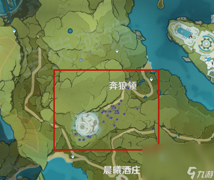 原神钩钩果图鉴