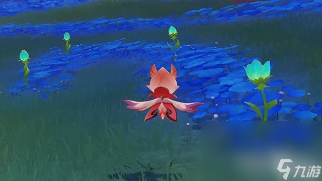 《原神》净觉花开花方法