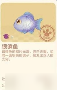 《摩尔庄园》银镜鱼在哪里推荐