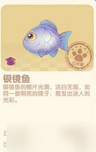 摩尔庄园银镜鱼在哪里在哪