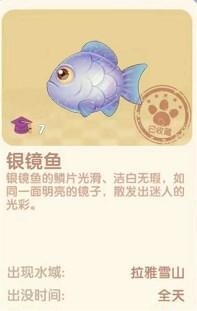 《摩爾莊園》銀鏡魚在哪里推薦