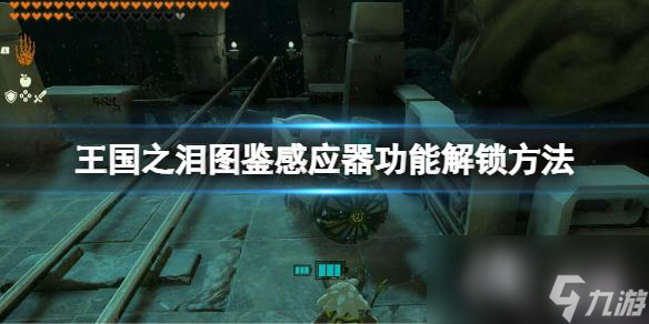 《塞尔达传说王国之泪》图鉴感应器怎么用 图鉴感应器功能解锁方法
