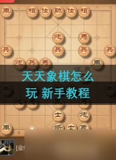 天天<a id='link_pop' class='keyword-tag' href='https://www.9game.cn/xqzmw/'>象棋怎么玩</a> 新手教程