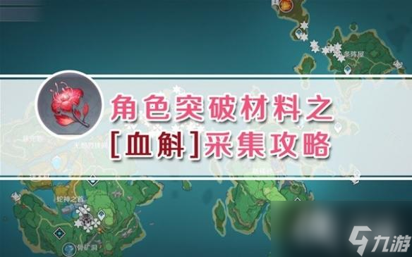 《原神》3.7血斛采集路线分享 血斛在哪采集？