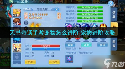 《天书奇谈手游》宠物怎么进阶 宠物进阶攻略