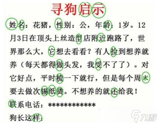 瘋狂梗傳尋狗啟示怎么過(guò)關(guān) 瘋狂梗傳尋狗啟示通關(guān)答案