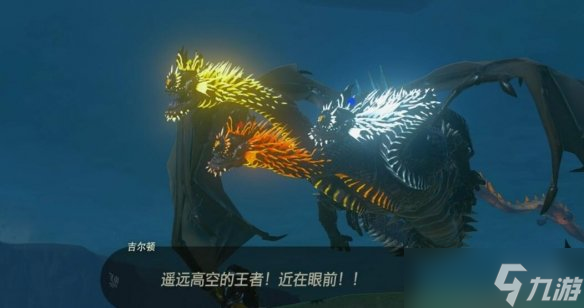 《塞尔达传说王国之泪》只属于我的怪物收藏品5怎么做 怪物收藏品任务攻略