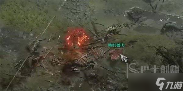 暗黑破坏神4培养口味任务攻略 暗黑破坏神4培养口味任务怎么做