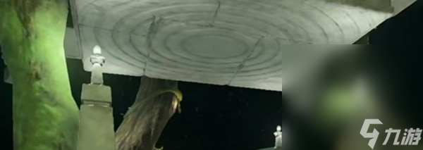 《塞尔达传说王国之泪》迷雾森林走法教程一览