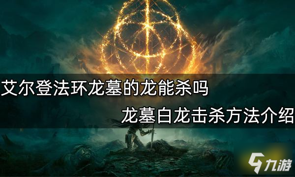 艾尔登法环龙墓的龙能杀吗 龙墓白龙击杀方法介绍