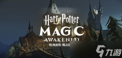 哈利波特魔法觉醒不同服务器的玩家能不能一起玩