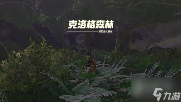 塞尔达传说王国之泪海拉鲁大森林进不去解决方法