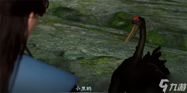 《逆水寒手游》绝崖鹤唳奇遇详解