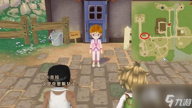 《牧场物语：美丽人生》全面上手指南 结婚候补对象人物喜好等