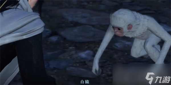 《逆水寒手游》白猿献图奇遇任务攻略