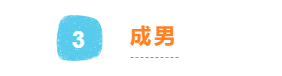 夏日海滩与气泡水最相配 来看看沁柠海风的设计吧
