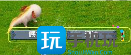 梦幻西游动物繁殖初期怎么玩