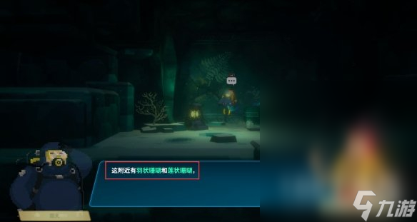 潜水员戴夫羽状珊瑚和莲状珊瑚位置介绍