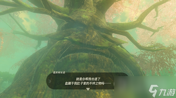 《塞尔达传说王国之泪》德库树长老详细位置介绍