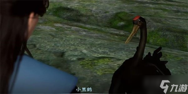 逆水寒手游绝崖鹤唳任务怎么做 绝崖鹤唳奇遇攻略