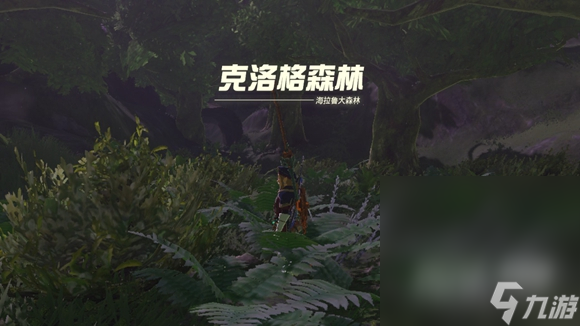 《塞尔达传说王国之泪》德库树长老位置详情