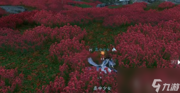 逆水寒手游昔年鹰唳奇遇攻略