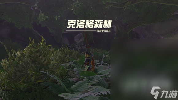 塞尔达传说王国之泪德库树长老详细位置介绍