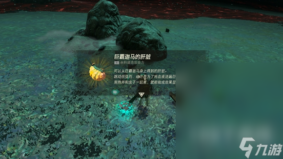 《塞尔达传说王国之泪》巨霸迦马的肝脏获取方法