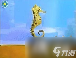 《潜水员戴夫》海马图鉴大全