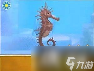 《潜水员戴夫》海马图鉴大全