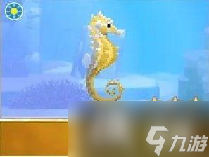 《潜水员戴夫》海马图鉴大全
