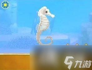 《潜水员戴夫》海马图鉴大全